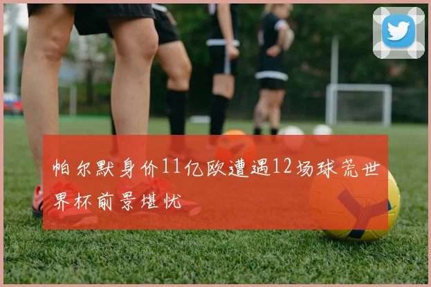 帕尔默身价11亿欧遭遇12场球荒世界杯前景堪忧