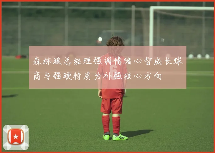 森林狼总经理强调情绪心智成长球商与强硬特质为补强核心方向